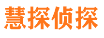 马尾侦探公司